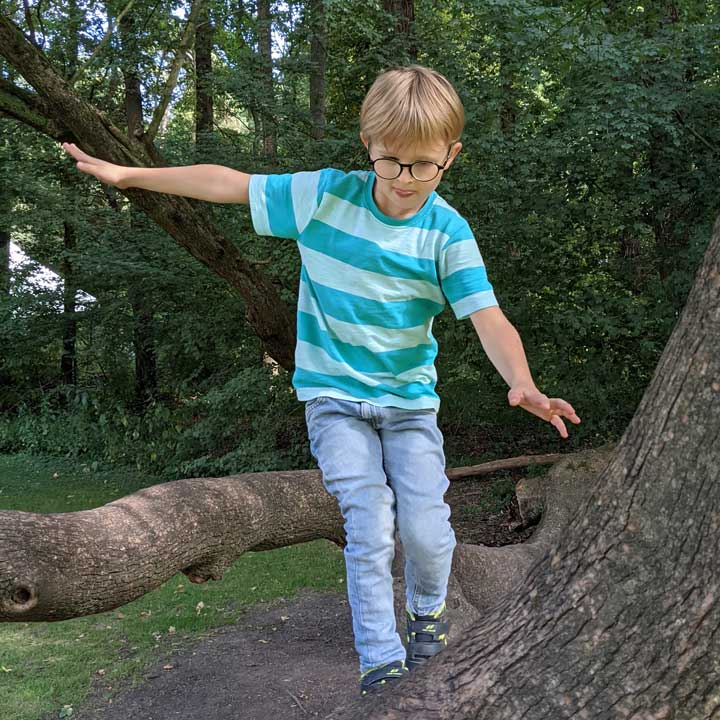 Simon klettert auf einem Baum im September 2021